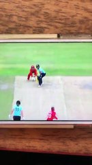 Sarah Taylor stumping