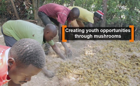 Kenya: Creating youth opportunities through mushrooms