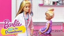 Doctor Barbie | Barbie LIVE! in the Dreamhouse | Barbie