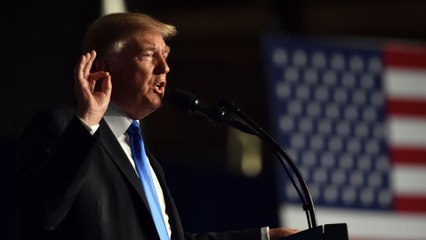 Trump open to political settlement with 'elements of the Taliban'