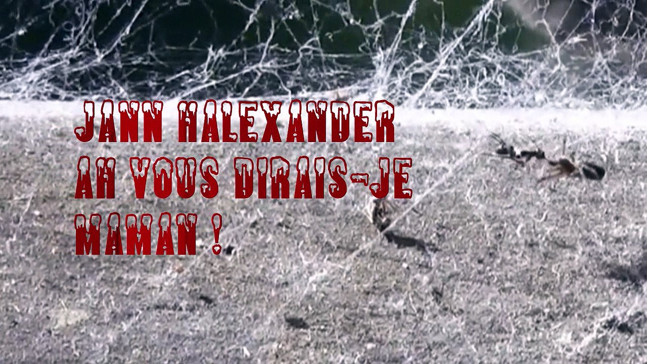 Jann Halexander :  Ah Vous Dirais-Je Maman !
