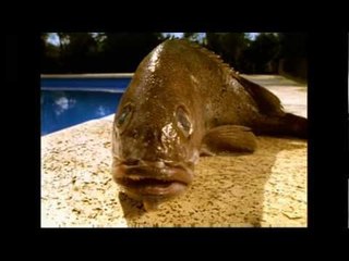 Babasónicos - Deléctrico (video oficial) [HD]