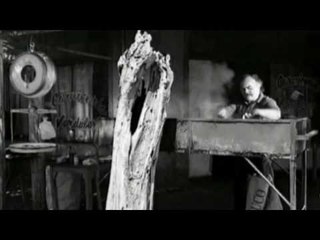 Ella es tán cargosa - Refugio (video oficial) [HD]