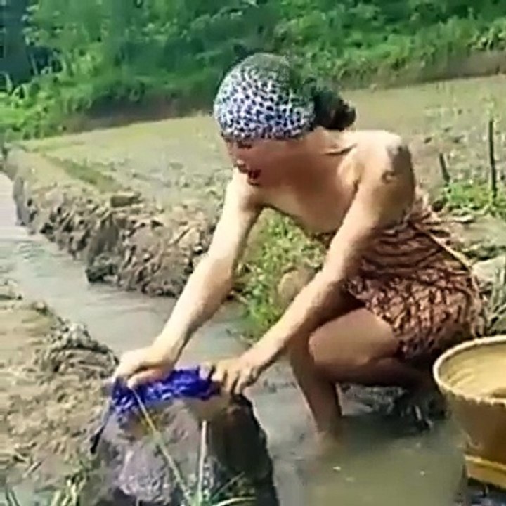 dangdut maniak