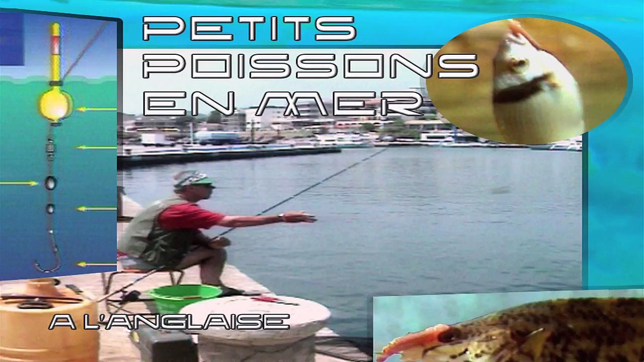 Pêche de A à Z - Petits poissons en mer à l’anglaise