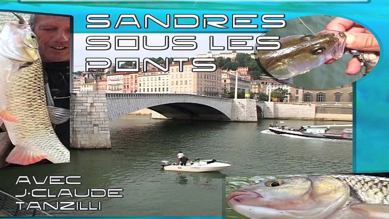 Pêche de A à Z - Sandres sous les ponts (Carnassiers)