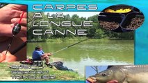 Pêche de A à Z - Carpes à la longue canne (Pêche au coup)