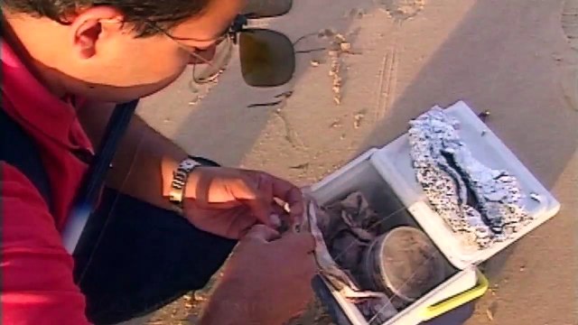 Pêche de A à Z - Surfcasting de nuit - Pêche en mer