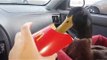Owner Treats Pet Duck to Fries and He's Lovin' it
