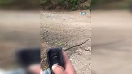 Afad'dan İnek Kurtarma Operasyonu