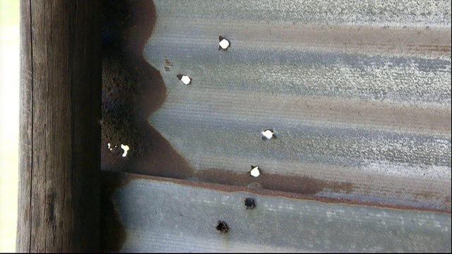 S Africa launches probe into more than 90 'political murders'