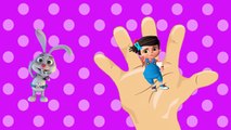 Akıllı Tavşan Kukuli İstanbul Muhafızları Ve Örümcek Adam _ Finger Family _ Parmak Çocuk Ailesi , Çizgi film animasyon türkçe film izle 2018