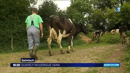 Quel avenir pour le bio ? - France 3 Quercy Rouergue