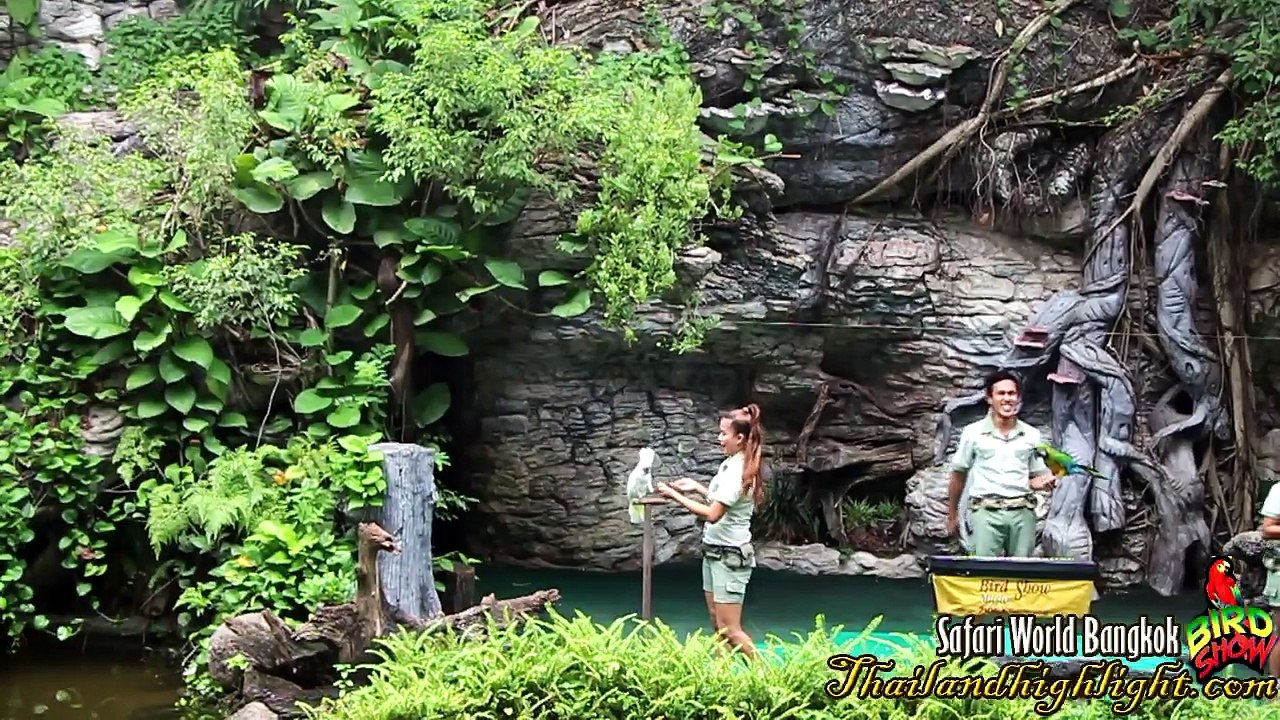 Bird Show Safari World Tour at Safari World Bangkok Thailand