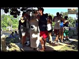 Flashmob en Isla del tango, Tigre, Buenos Aires -proximo 3,4-12-2016