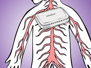 Understanding How Computer Networks Connect and Function 🌐