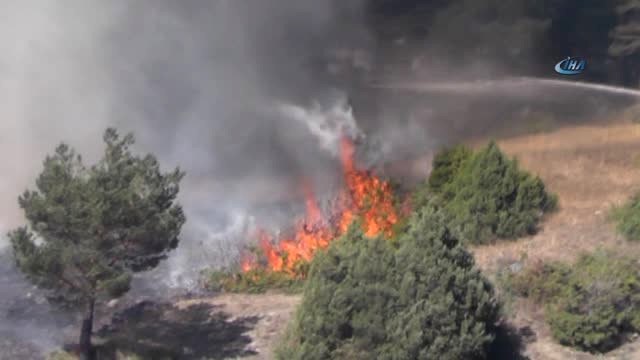 Oltu'da Orman Yangını... 50 Dönüm Sarıçam Ormanı Kül Oldu