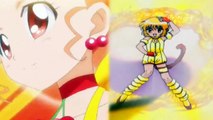 Kirakira☆Precure & Tokyo Mew Mew Cure Custard vs Mew Pudding Transformation!