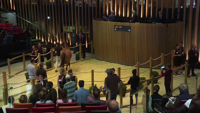 Deauville: Très bonne édition 2017 des ventes de yearlings