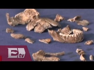 Hallan en Sudáfrica uno de los ancestros humanos más antiguos / Vianey Esquinca
