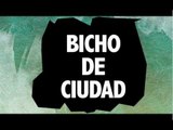 Estelares & Emiliano (NTVG) - Bicho de ciudad  (AUDIO 