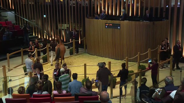 Deauville: Très bonne édition 2017 des ventes de yearlings