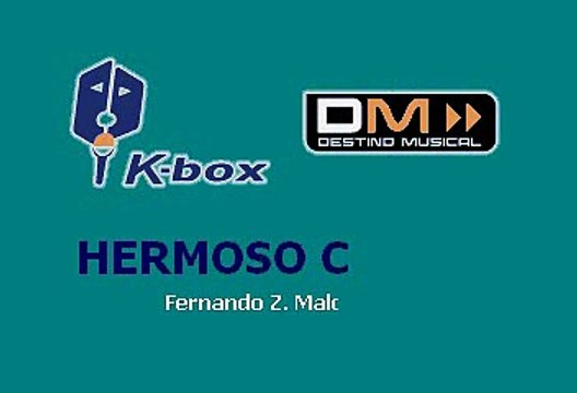 Hermoso Cariño - Vicente Fernandez (Karaoke)