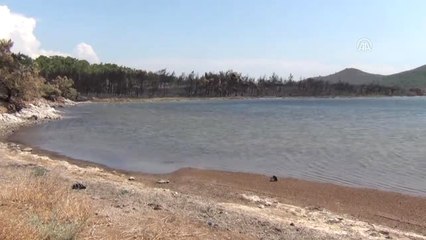 Yangında Zarar Gören Bölgede Sembolik Ağaçlandırma Çalışması Yapıldı
