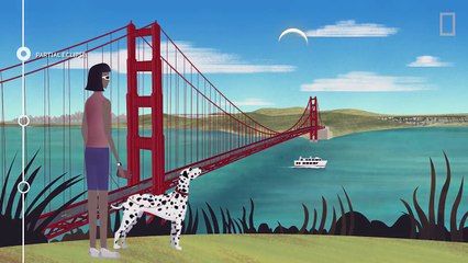 Solar Eclipse 101 - National Geographic