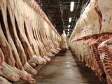 Amazing Food Factory - Inside The Slaughterhouse - Food & Drink