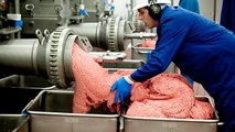 Inside the Meat Processing Plant - Inside The Food Factory