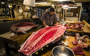 Professional Cleaning and Filleting Fish Skills  Amazing Fillet Fish Skills #1