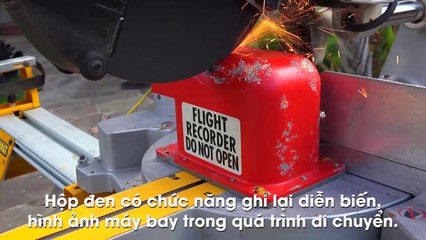7 vật bạn thường xuyên nghe nhưng lại ít khi thấy