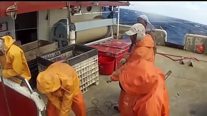 Deep Sea Fishing For Giant Swordfish Fishing Documentary Discovery Channel Full New