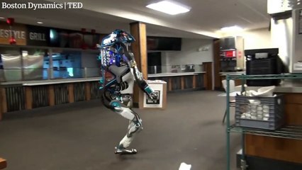 Hapless Boston Dynamics robot in shelf-stacking fail