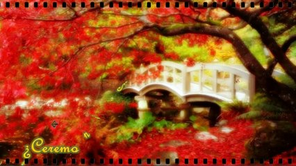 capitulo 6 El Viaje de Estrella - Ceremonia