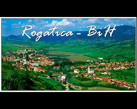 Stepenik – Zona Zarić i njena doktorska teza ”Društveni značaj empatije”