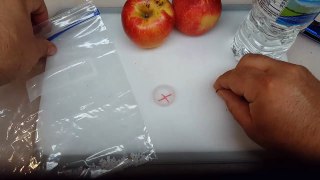 EASY WAY How to Grow an Apple Tree from Seed