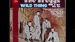 The Troggs - Wild Thing [Full Album] 1966