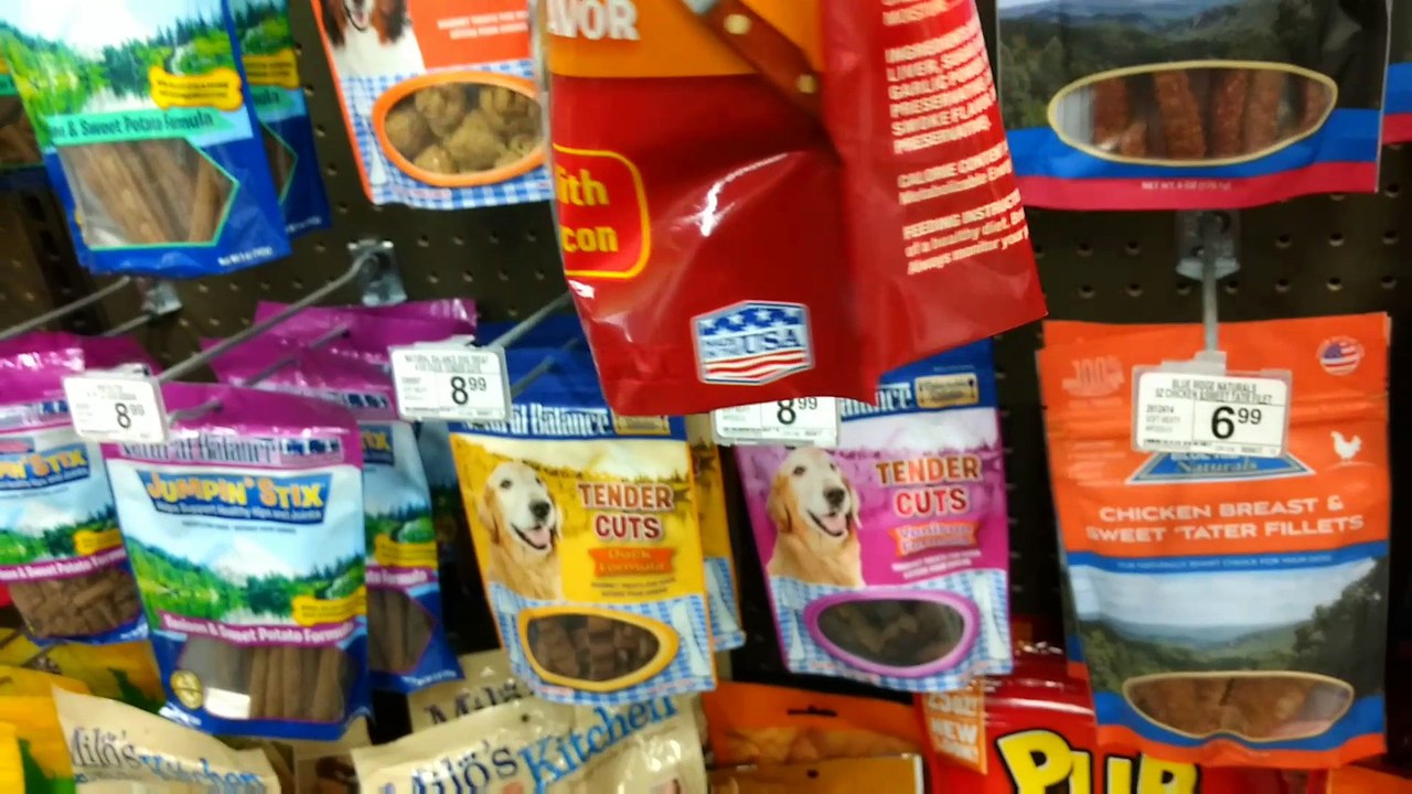 Doberman Pinscher FOOD What to Feed your Dog