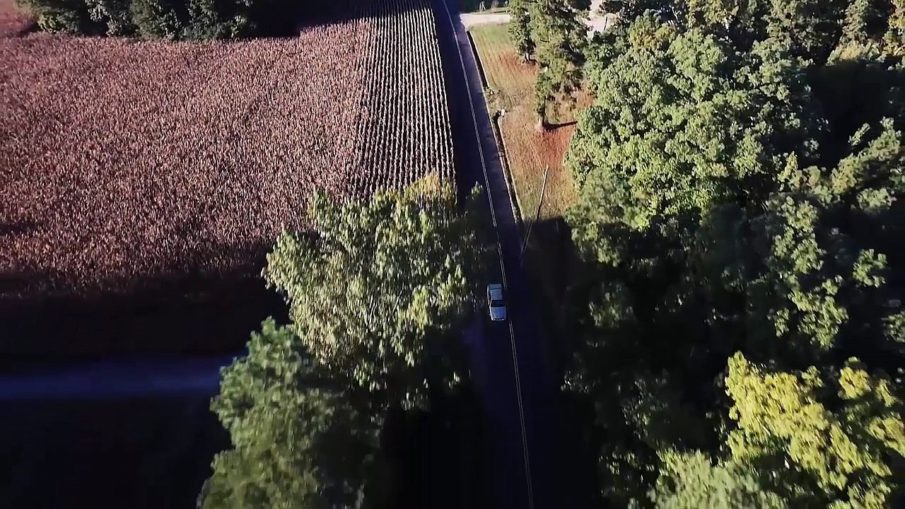 O Filme e o Livro O Jardim das Aflições (Olavo de Carvalho)