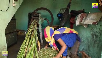 haryanvi dance |इस बहु ने तो डांस मै सभी डांसरों के फ़िल्टर पाड़ दिए..हद हो गयी| popular dance video