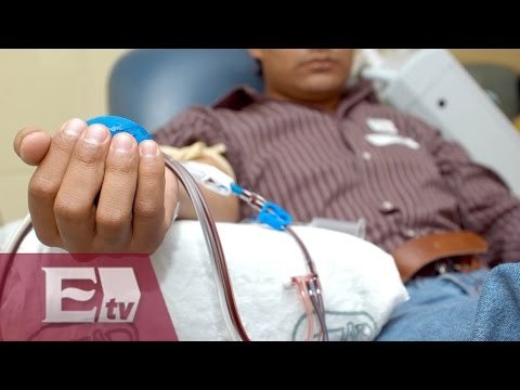 Síntomas y tratamiento de la enfermedad renal/ Salud