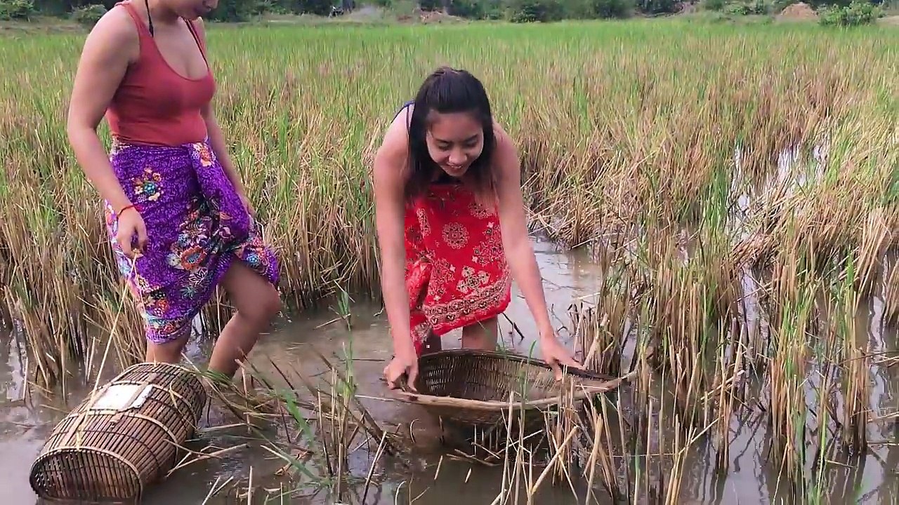 Un et un à un un à incroyable par par Cambodge capture poisson pêche main Comment dans Beaucoup de de à Il sensationnel