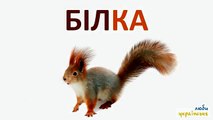 Pour sauvage dessin animé enfants ukrainiens et les animaux domestiques et les légumes explorer couleurs Père
