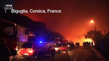 France Corsica fires threaten homes in Biguglia - BBC News