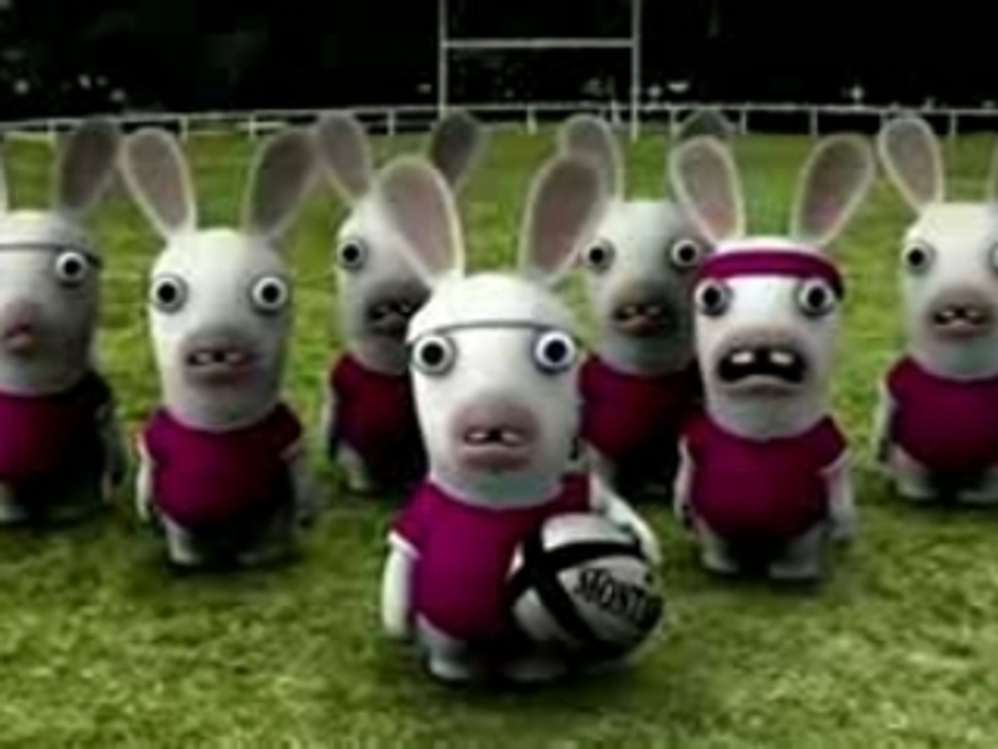 Haka Rabbits