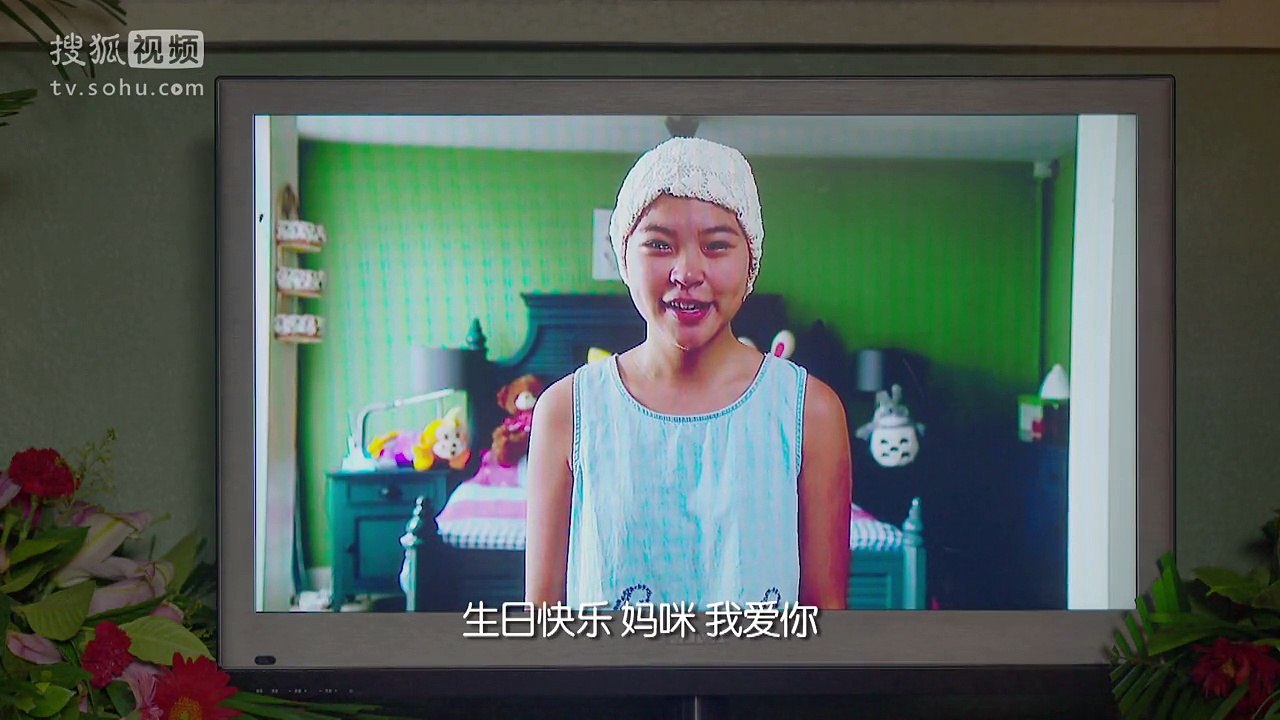 领养 第23集