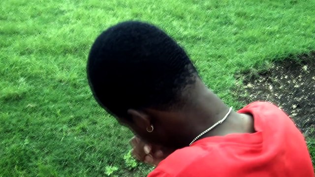 ( bajan ) Dinosaurs in barbados VFX adobe after effects green screen hd