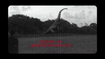 Real Dinosaur Caught On Camera in Barbados 2017 Real Life brontosaurus_supersaurus